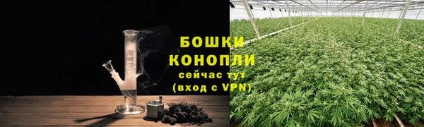 дурь Алзамай