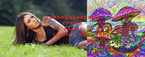 дурь Алзамай